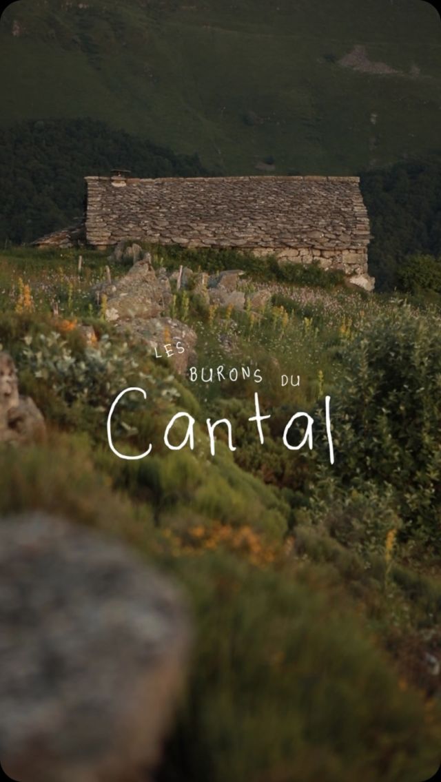 • Les burons du Cantal ⛰️

Imaginez un paysage façonné par le temps et les volcans, imaginez des vallées verdoyantes où l’on distingue la silhouette du Puy Mary, imaginez des plateaux d’altitude où paissent paisiblement les troupeaux de vaches Salers.

Cet été, nous avons arpenté les monts du Cantal, de buron en buron. Ces bâtisses de pierre étaient autrefois dédiées à la fabrication du fromage durant les périodes d’estives. Mais au fil du temps, les burons ont vu leur nombre diminuer, victimes de l’évolution des pratiques agricoles et de l’exode rural. Abandonnés, certains sont tombés en ruine, tandis que d’autres ont été restaurés par des femmes et des hommes soucieux de préserver cet héritage.

Sur les hauts plateaux, nous avons rencontré ces gardiens du patrimoine local :

📌 Dominique, au buron de la Bobe ;
📌 Marie-Jo et Guy, au buron d’Algour ;
📌 Chantal et Alain, au Buron de Chaussedier ;
📌 Isabelle, au buron de Niercombe ;

Un reportage à retrouver dans quelques jours sur le site internet Bobine ✌️

#buron #cantal #auvergne #estive #puymary